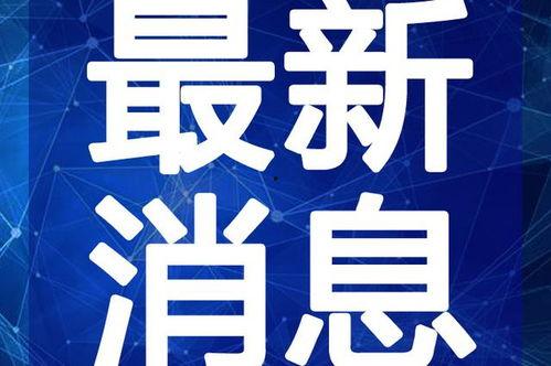 潍坊情人节最新爆料视频,甜蜜视频曝光，爱意满满！