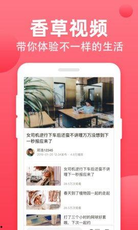 竹山农香最新爆料视频播放,揭秘视频背后的惊人真相！