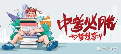 全冠积木爆料最新消息,颠覆传统积木体验，创新之作即将亮相