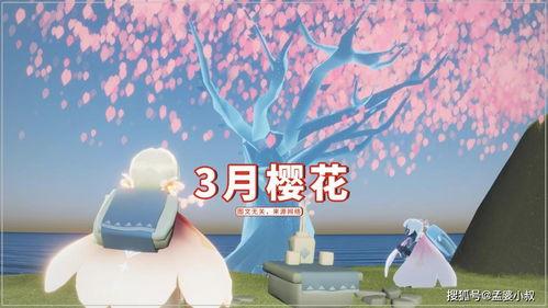 光遇花憩节活动最新爆料,光遇新玩法与神秘奖励大揭秘